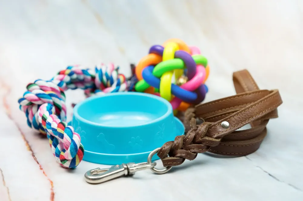 accessoire chien près de Pau